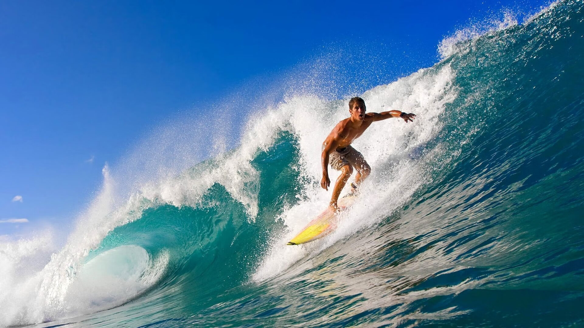 开云体育app官网-体坛风云,纳达尔跨界绝杀法国队,雄鹿备战意大利杯,巴萨里程碑引突变